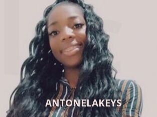 ANTONELAKEYS