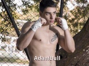 AdamBull