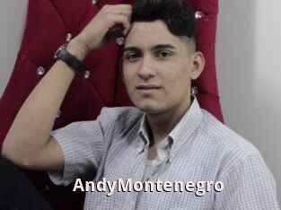 AndyMontenegro