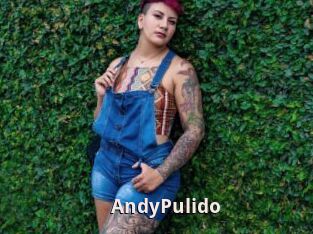 AndyPulido