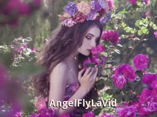 AngelFlyLaVid