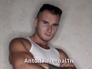 Antoni_adrenal1n