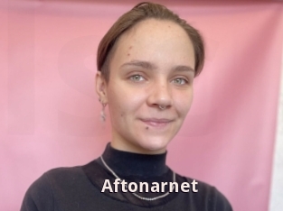 Aftonarnet