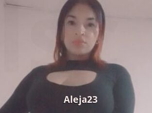 Aleja23