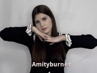 Amityburner