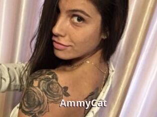 AmmyCat