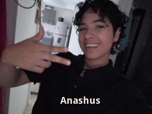 Anashus