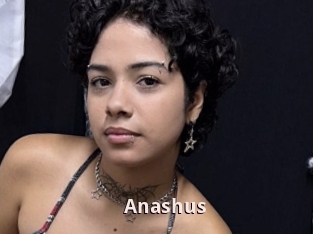 Anashus