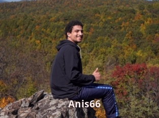 Anis66