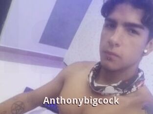 Anthonybigcock