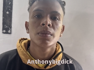 Anthonybigdick