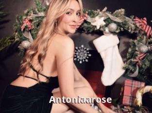 Antoniaarose