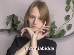 Antoniabiddy