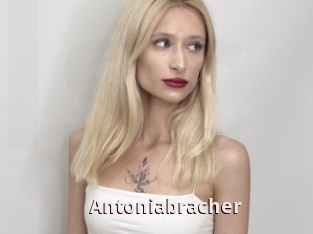 Antoniabracher