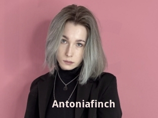 Antoniafinch