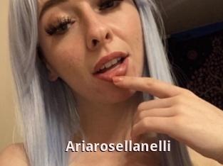 Ariarosellanelli