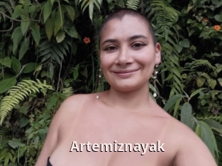 Artemiznayak