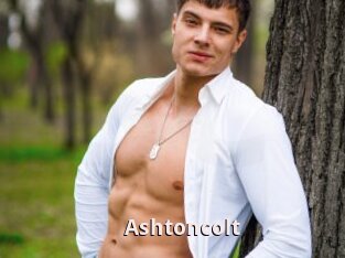 Ashtoncolt