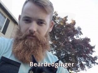 Beardedginger