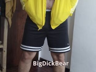 BigDickBear