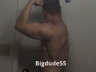 Bigdude55