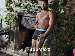 BobMaxx