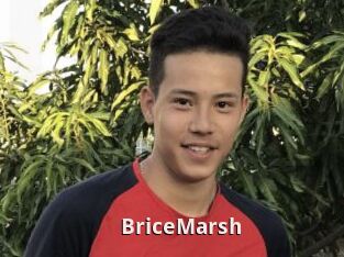 BriceMarsh