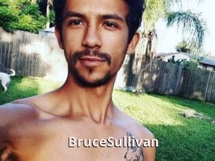 Bruce_Sullivan