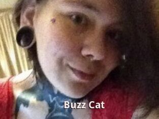 Buzz_Cat