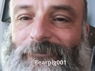 Bearpig001