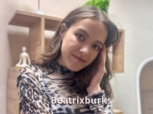 Beatrixburks