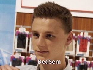 BedSem