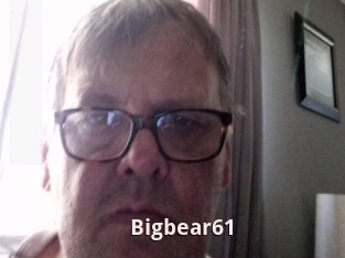 Bigbear61