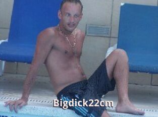 Bigdick22cm