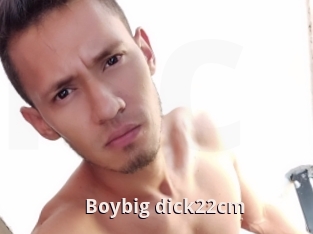 Boybig_dick22cm