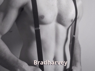 Bradharvey