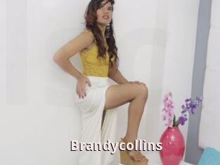 Brandycollins