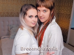 Breeandantonia