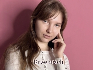 Breebrach