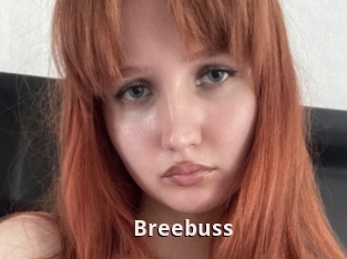 Breebuss