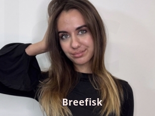 Breefisk