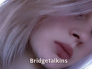 Bridgetalkins