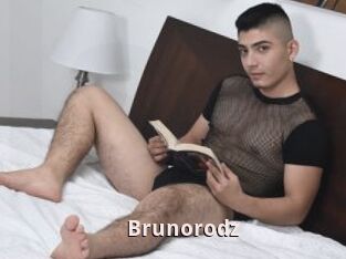 Brunorodz