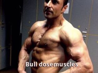 Bull_dosemuscles