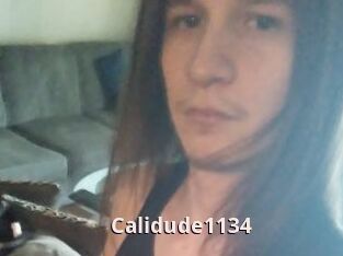 Calidude1134