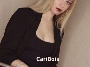 CariBois