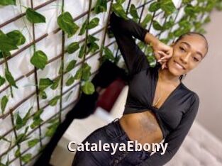 CataleyaEbony