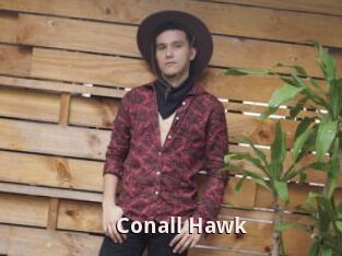 Conall_Hawk