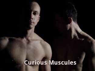 Curious_Muscules