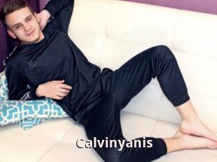 Calvinyanis